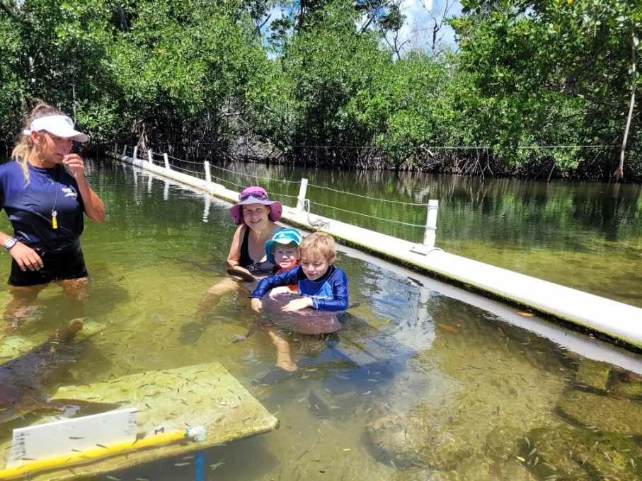 Children wading in shallow water near a wooden railing, surrounded by greenery.