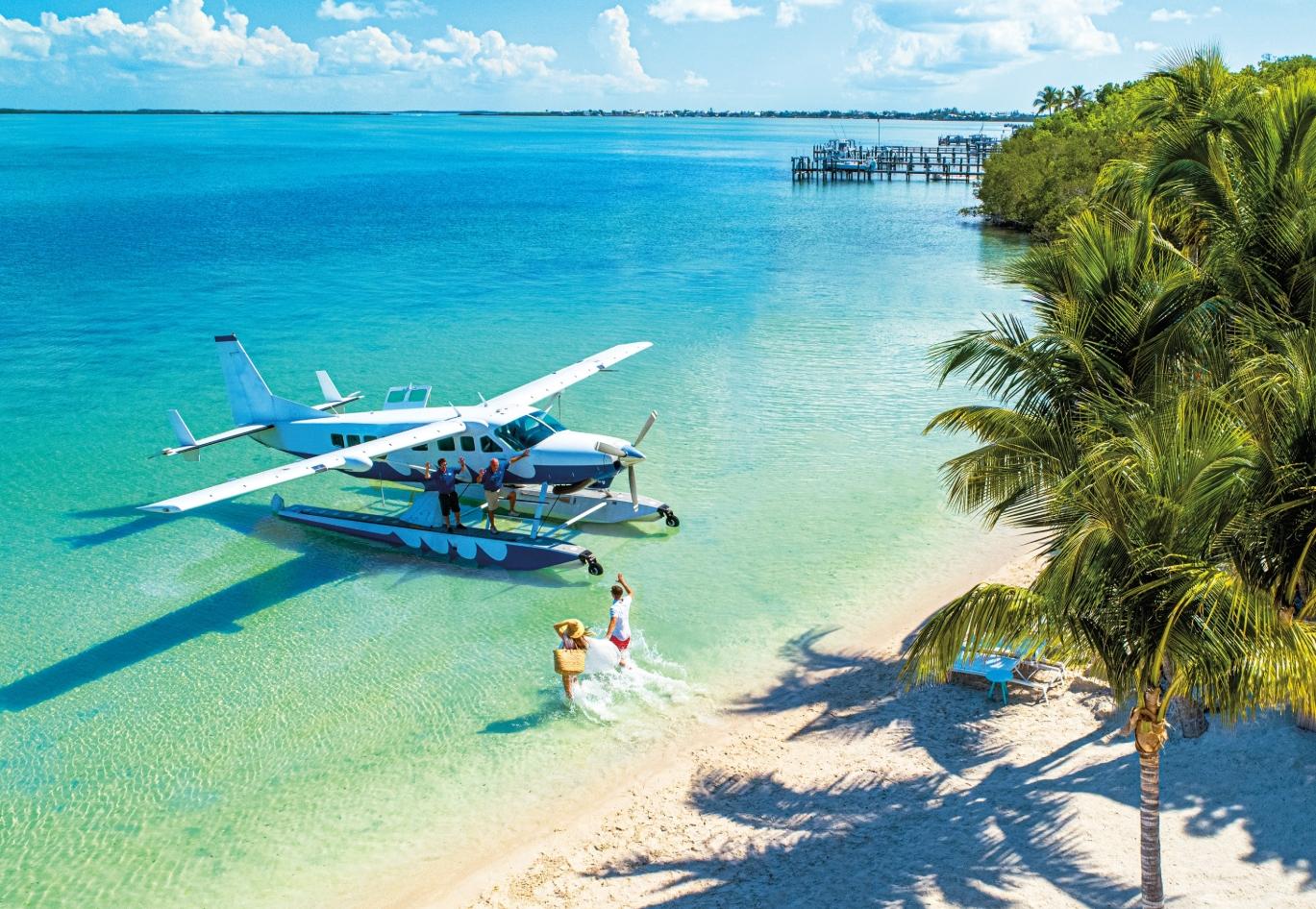 Seaplane on turquoise water near a sandy beach with palm trees.