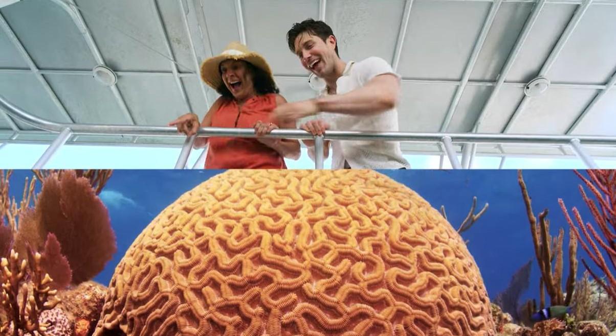 People on a boat looking at a large brain coral underwater.