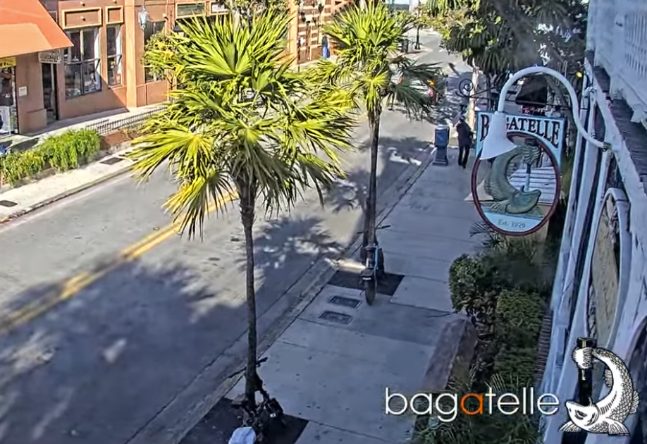 Street view with palm trees and shop signs on a sunny day.
