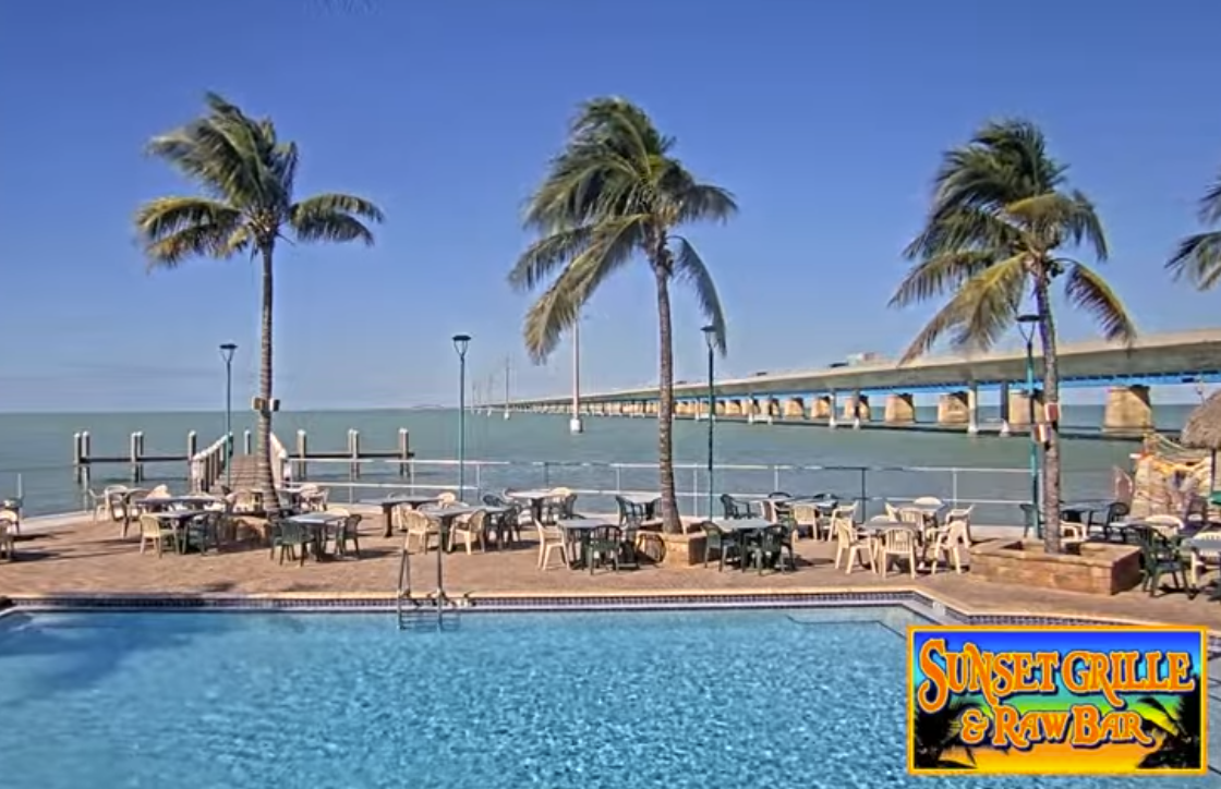 Poolside view with palm trees and an ocean bridge under a clear blue sky.