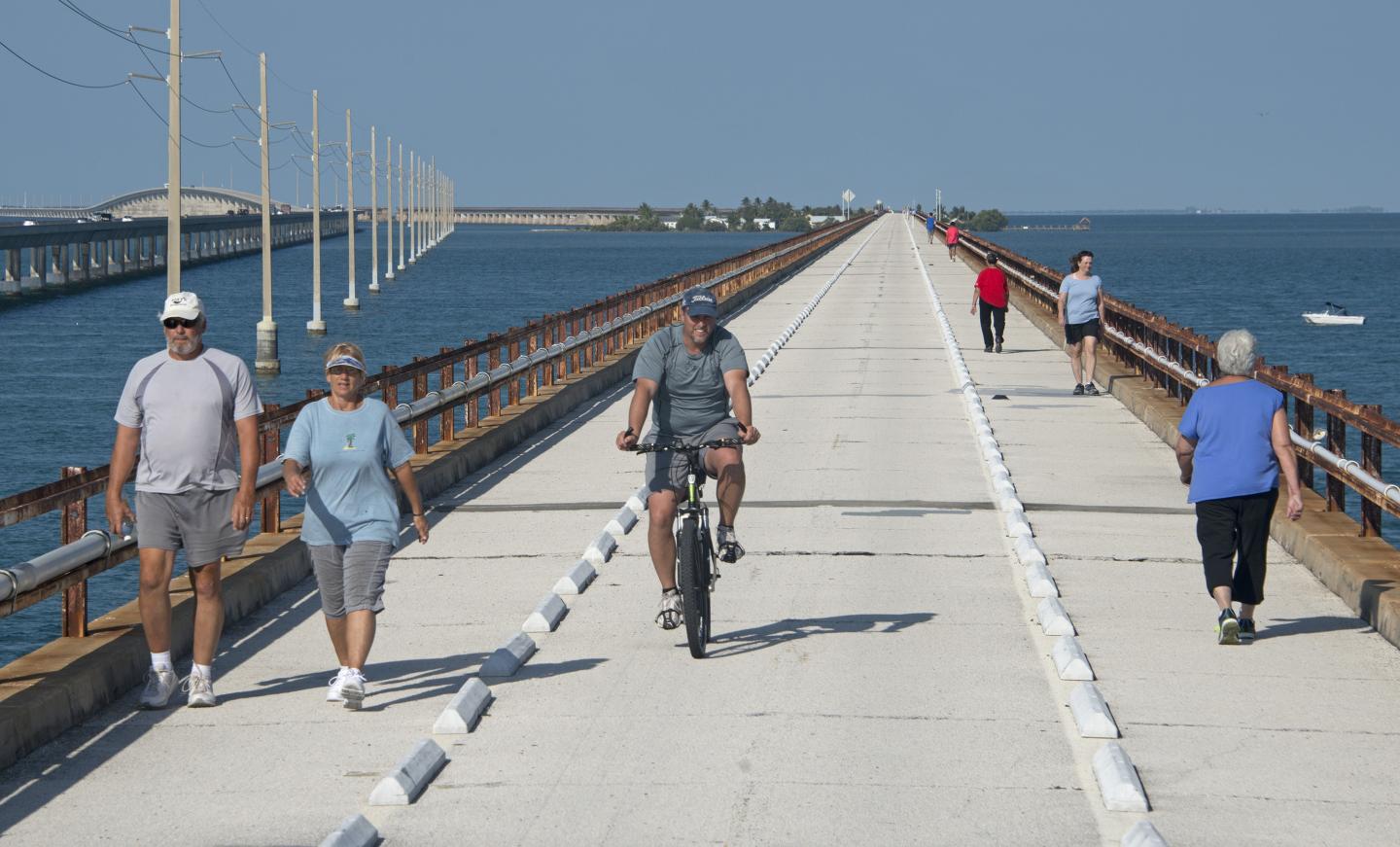 People walking and cycling on a long bridge over water under a clear blue sky.