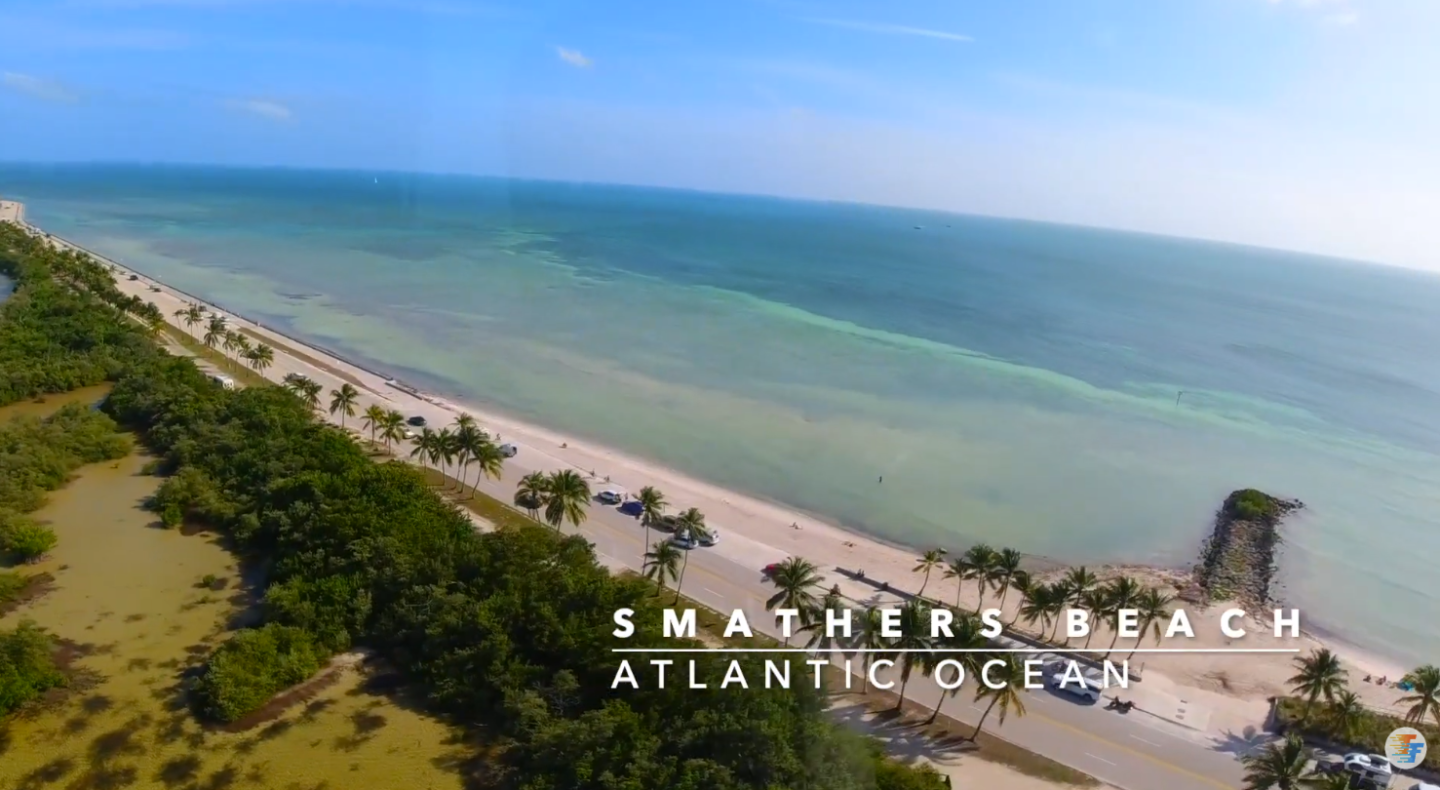 Coastal view of Smathers Beach with palm trees and ocean.