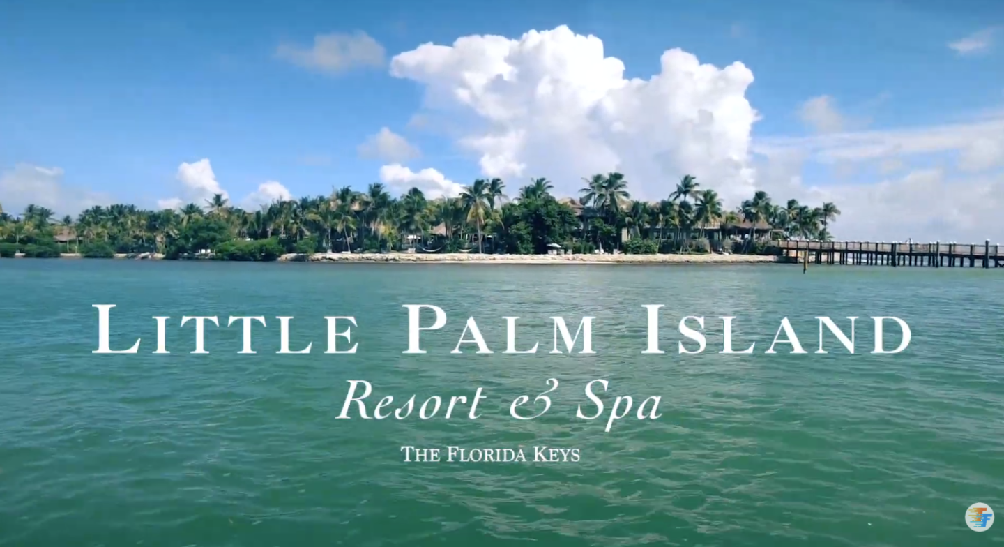 Tropical island resort with palm trees and a pier over turquoise water.