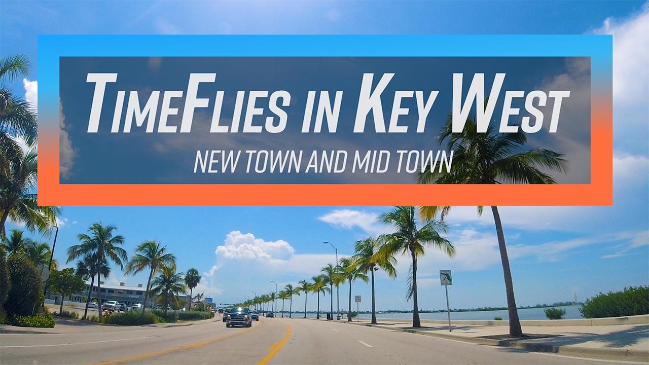 Tropical road with palm trees under a bright blue sky.