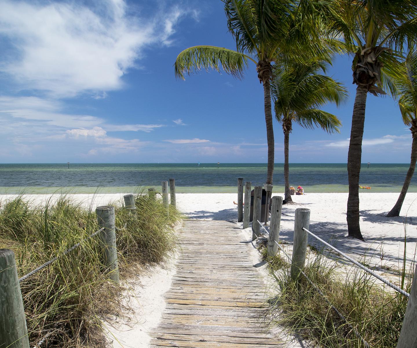 Wooden pathway leads to a tranquil beach with palm trees and a clear blue sky.