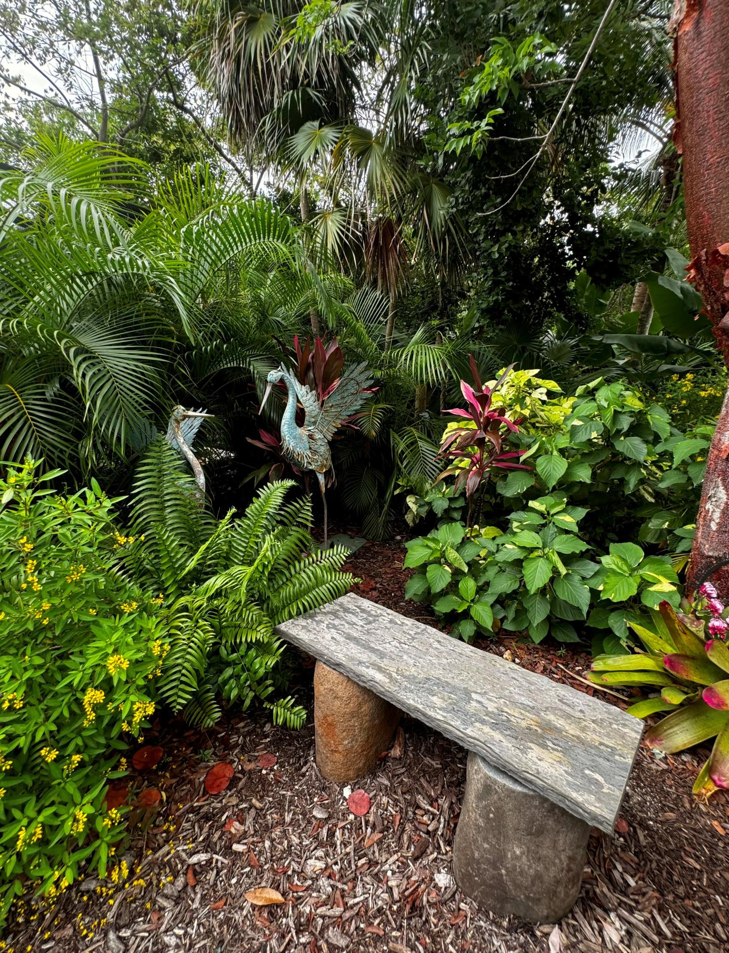 Stone bench surrounded by lush green plants and tropical foliage.