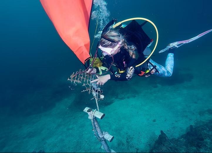 Scuba diver underwater adjusting equipment with a red buoy.