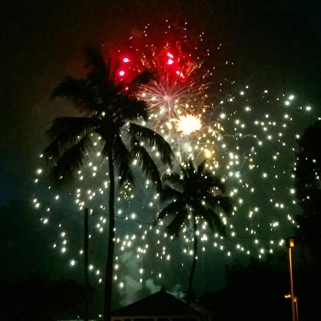 Fireworks light up the night sky behind silhouetted palm trees.