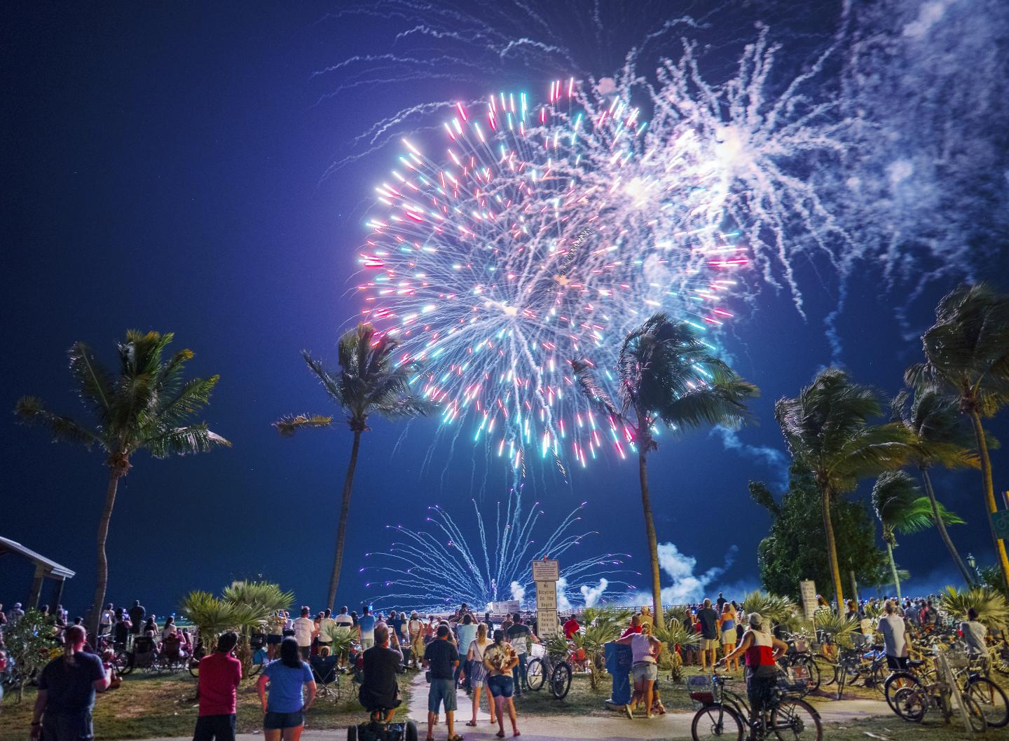 Fireworks light up the night sky above a crowd and palm trees.