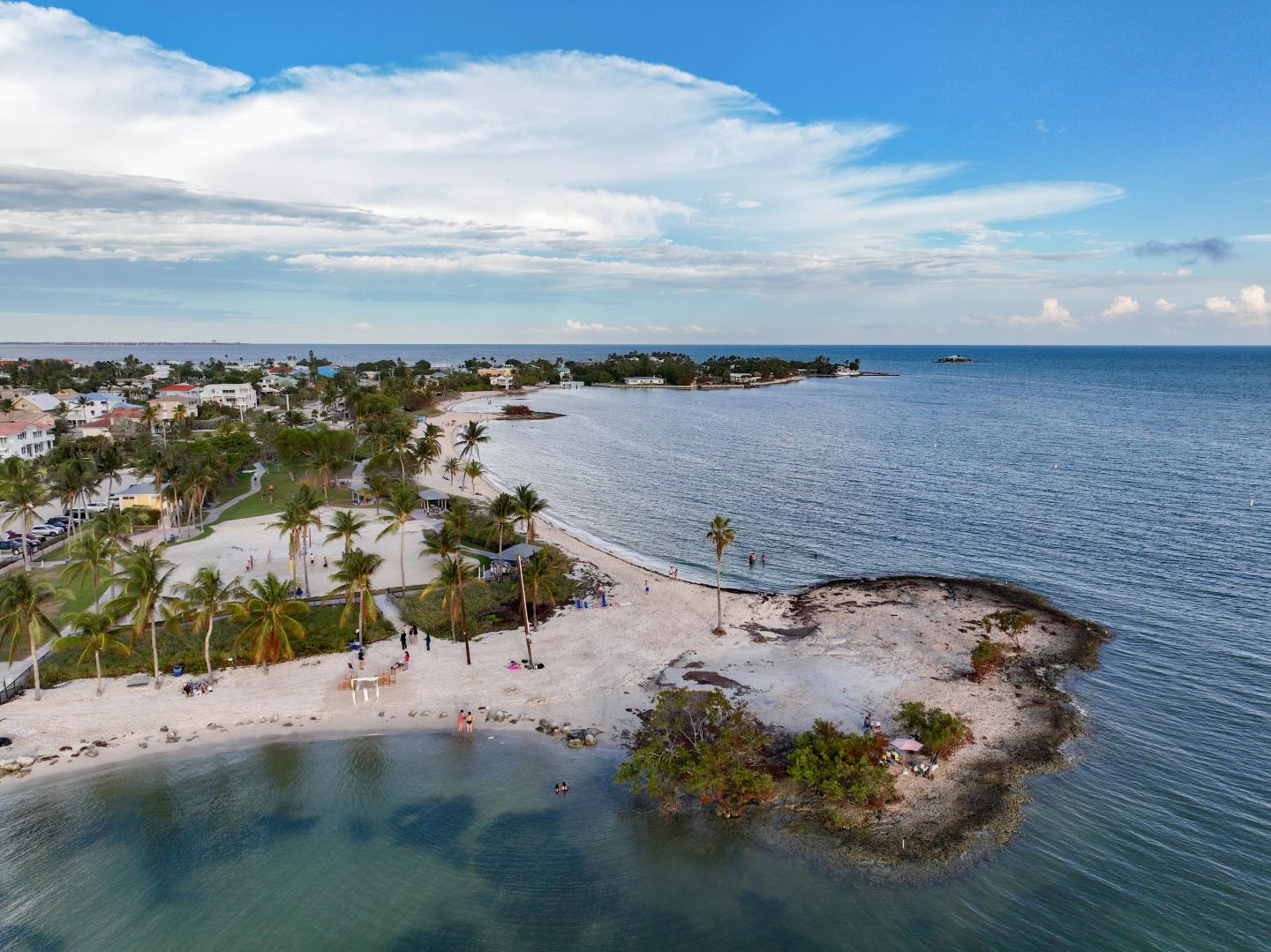 Tropical beach with palm trees and clear blue sky, ocean in the background.