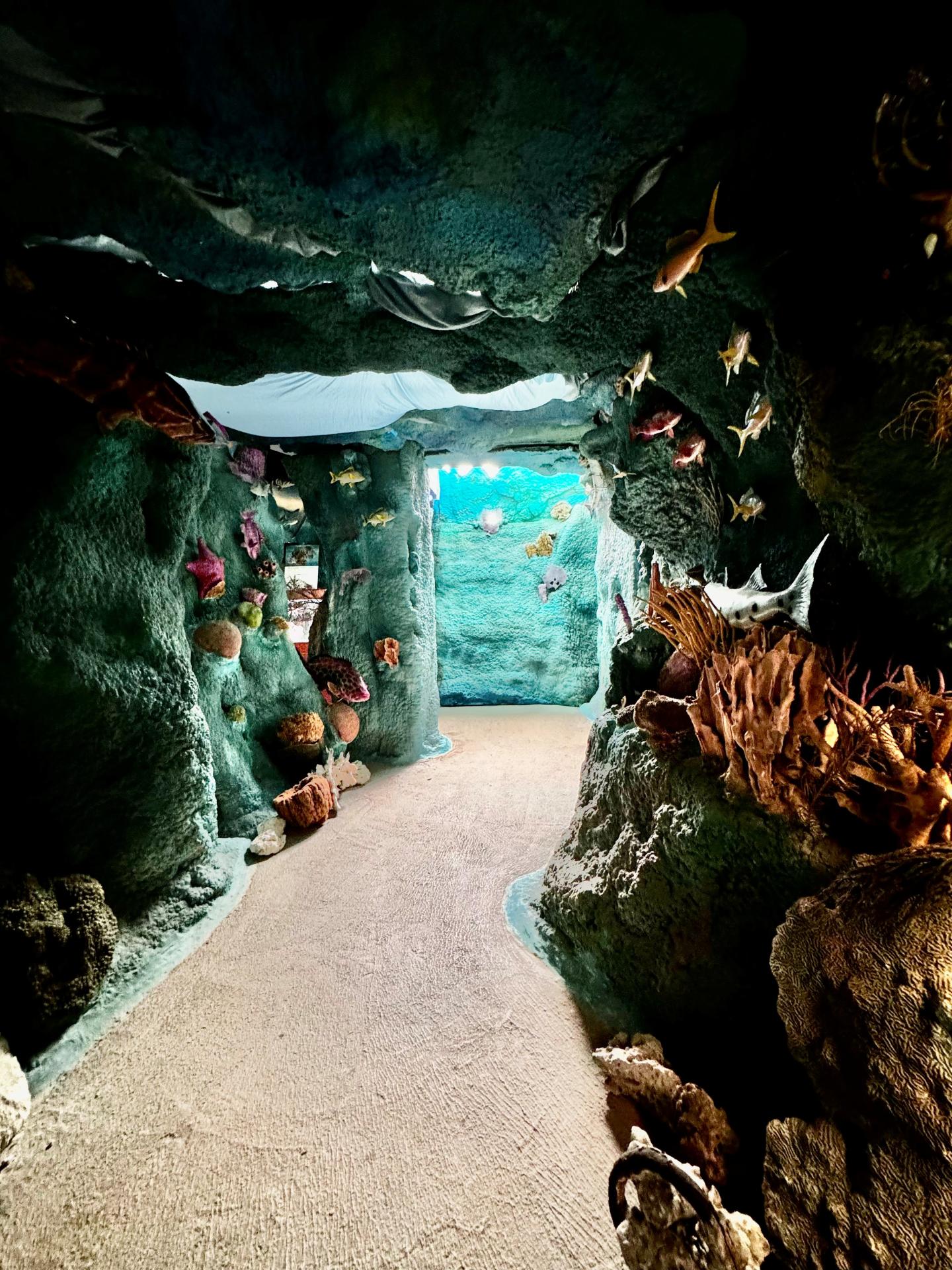 Aquarium tunnel with coral and fish decorations.