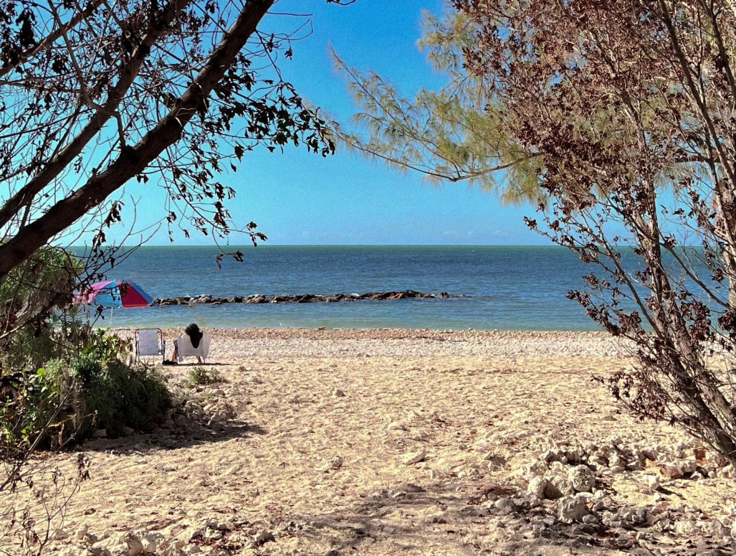 Sandy beach with trees, calm sea, and a pink umbrella in the distance.