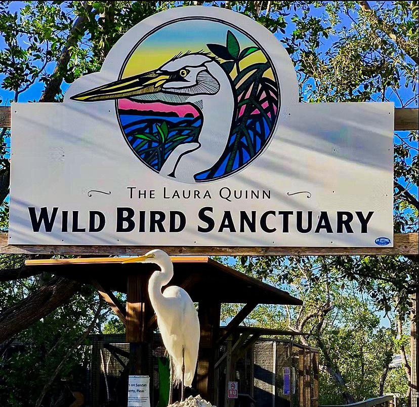 Wild Bird Sanctuary sign