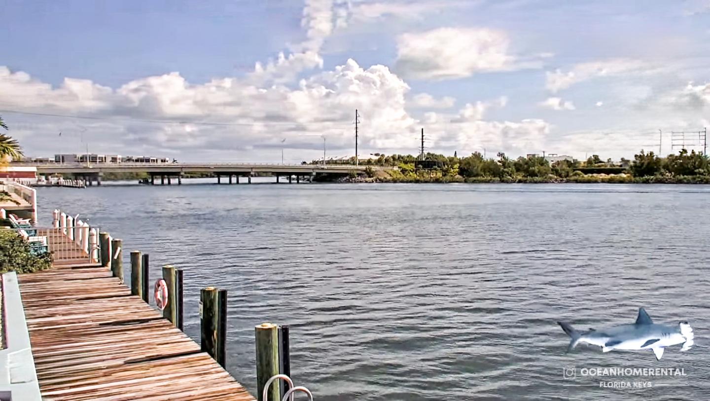 Calm water scene with a wooden dock and distant bridge under a partly cloudy sky.