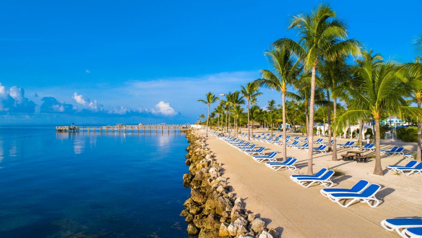 Sandy beach with palm trees and blue lounge chairs by a calm ocean under a clear sky.
