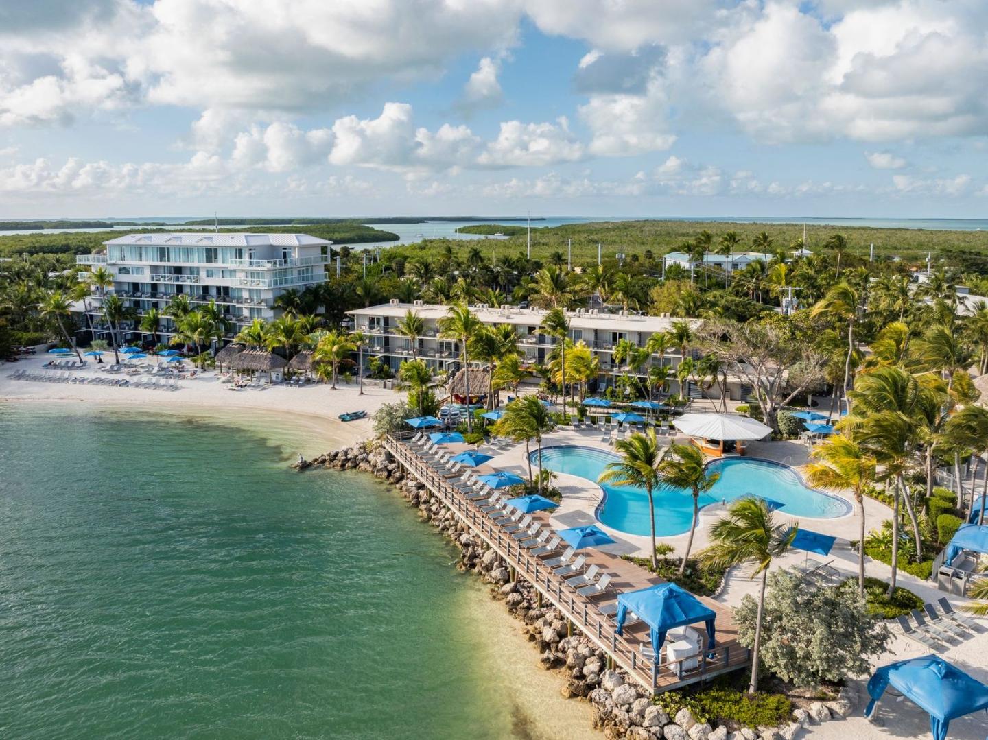 Aerial view of a tropical resort with pools and palm trees by the ocean.