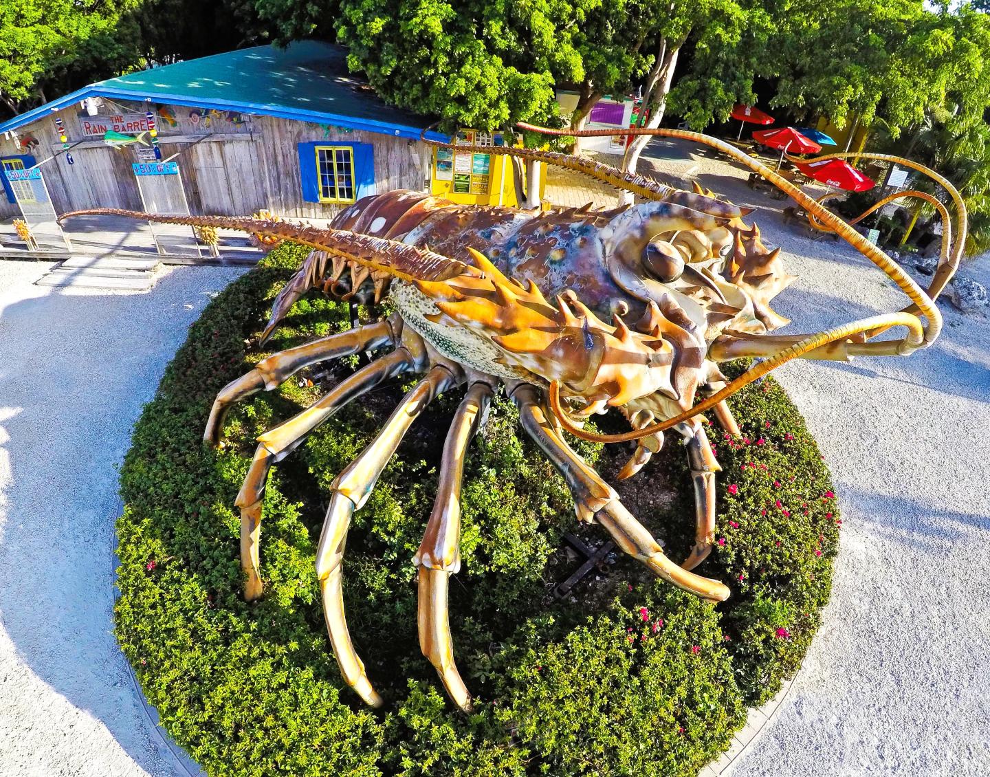 Giant lobster statue in front of a rustic wooden building with trees in the background.