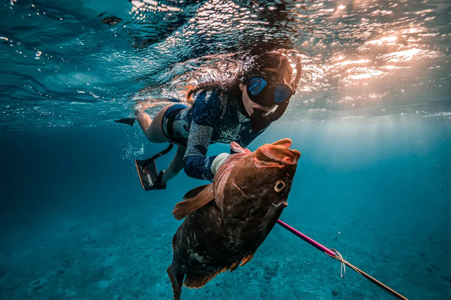 Diver underwater holding a large fish with a spear.