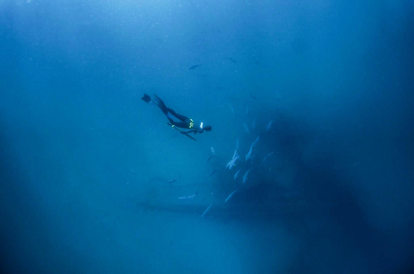 Diver swimming near a shadowy shipwreck underwater.