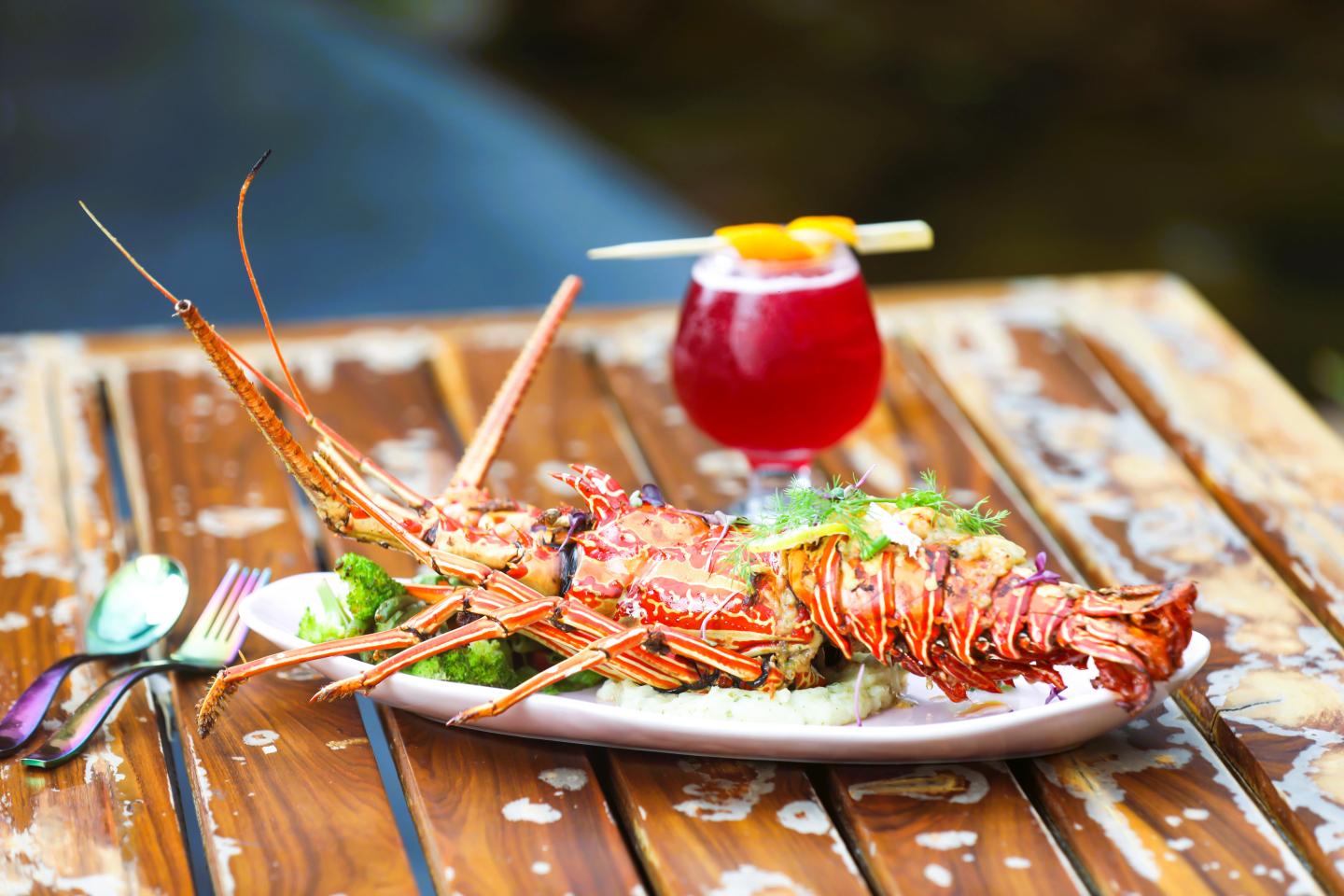 Grilled lobster on a wooden table with a red cocktail.