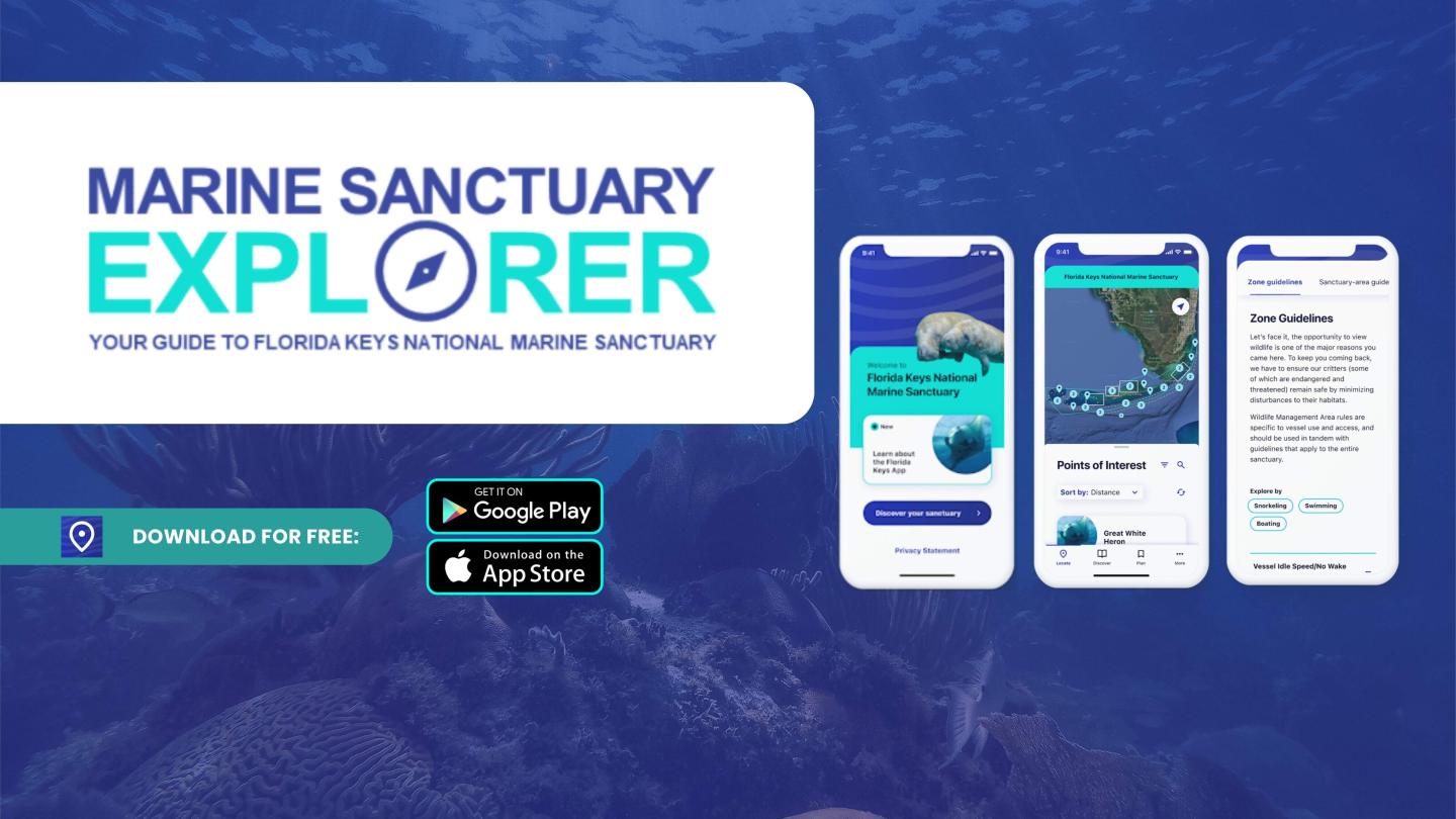 Blue graphic with phone app screens displaying marine sanctuary info.