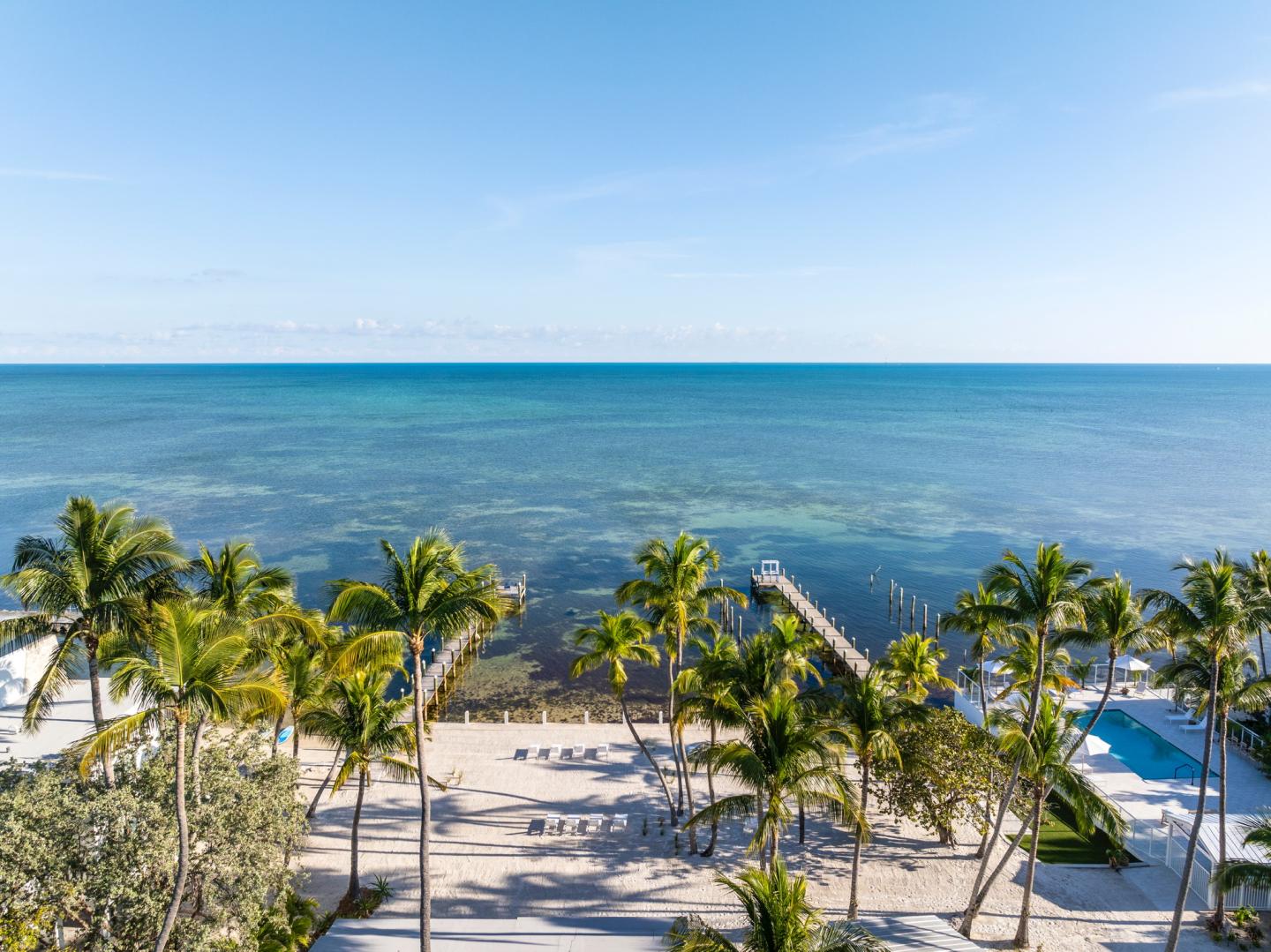 Tropical beach with palm trees and clear blue ocean.