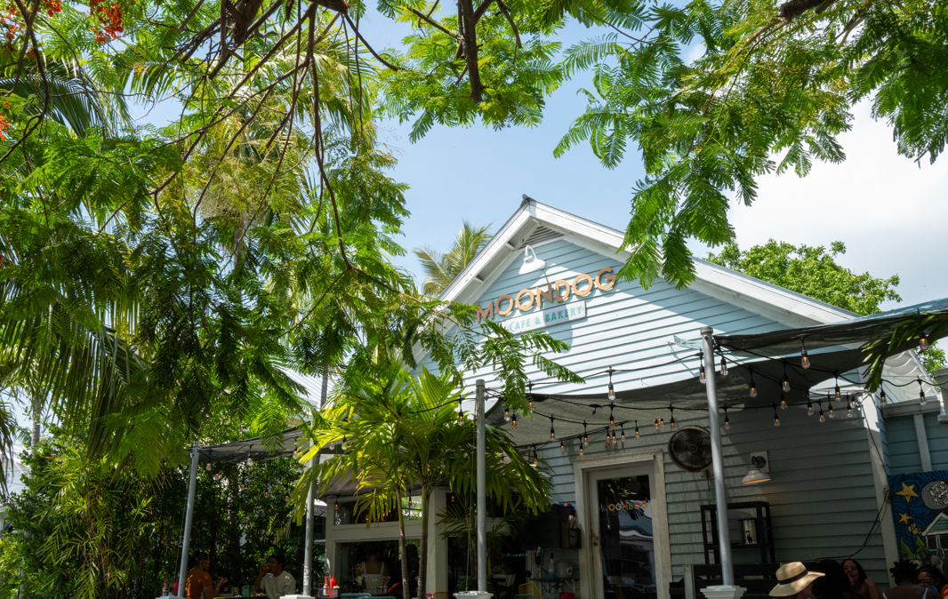 Blue wooden café with lush greenery and outdoor seating.