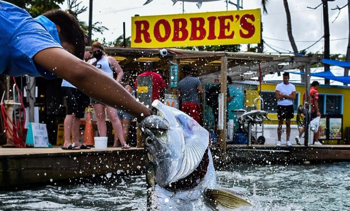 Man feeding large fish at waterside dock with "Robbie's" sign above.