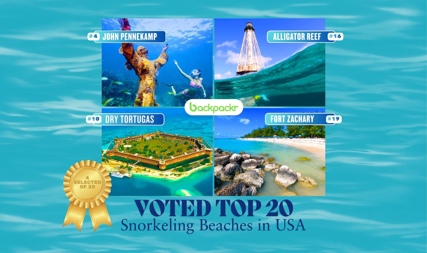 Underwater and beach scenes with a top 20 snorkeling badge.