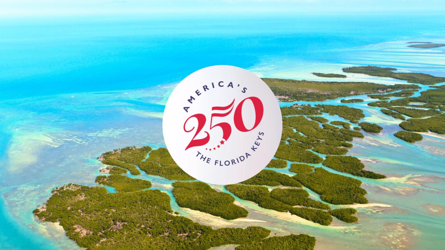 Aerial view of blue sea, green islands, overlaid with a circular "250" logo.