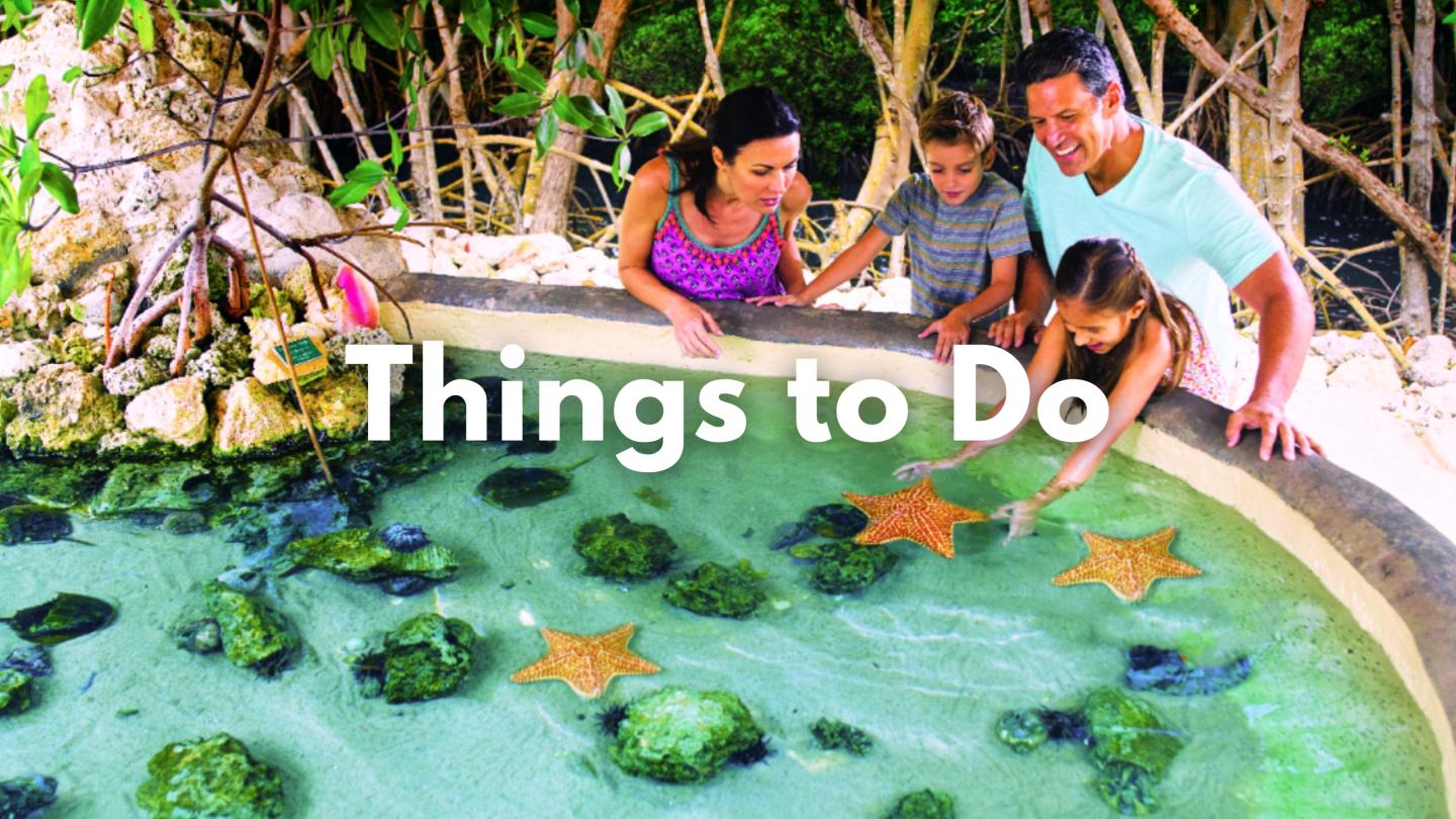 Family observing starfish in a shallow pool.