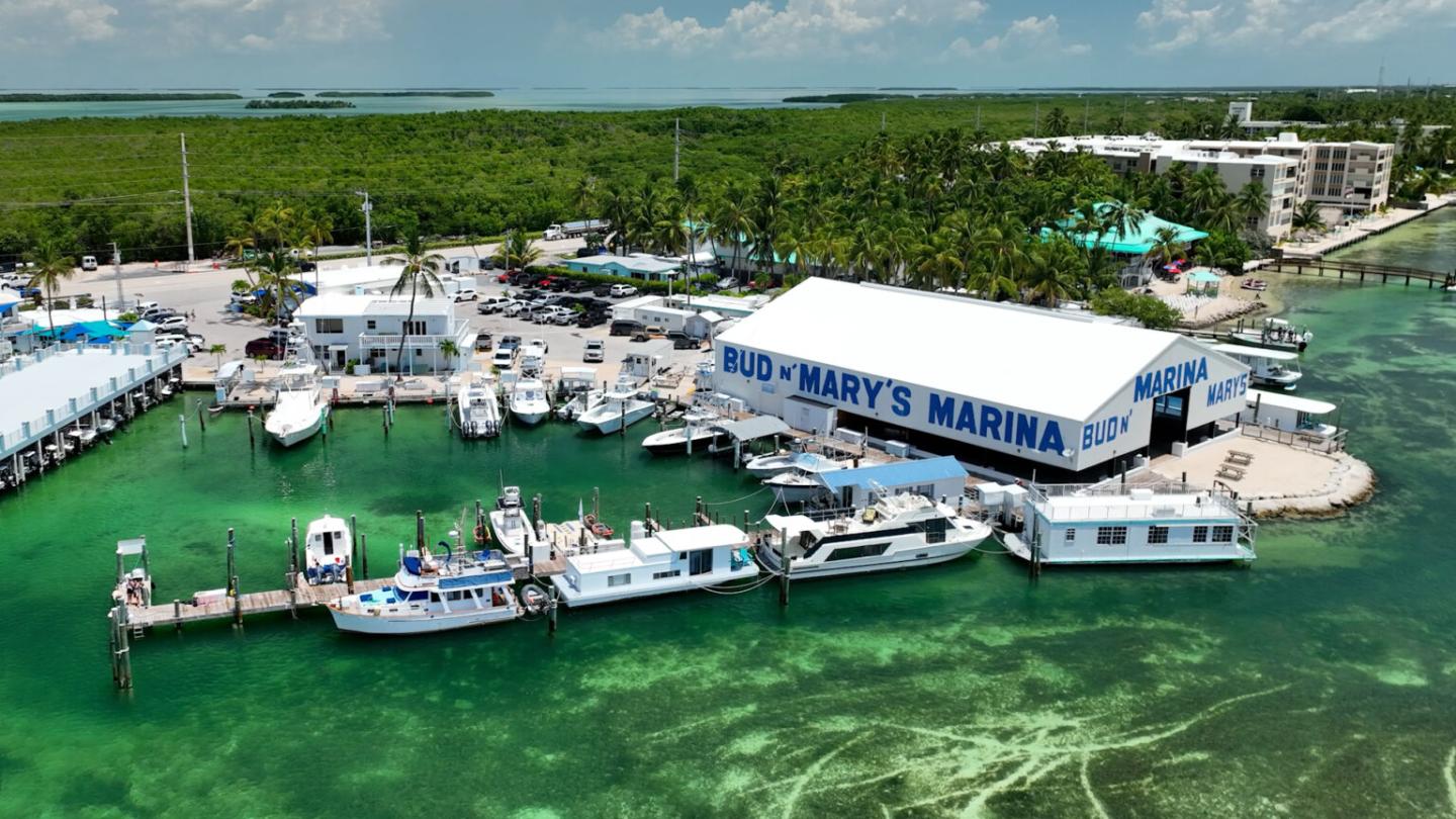 Boats docked at a marina with turquoise water and greenery.