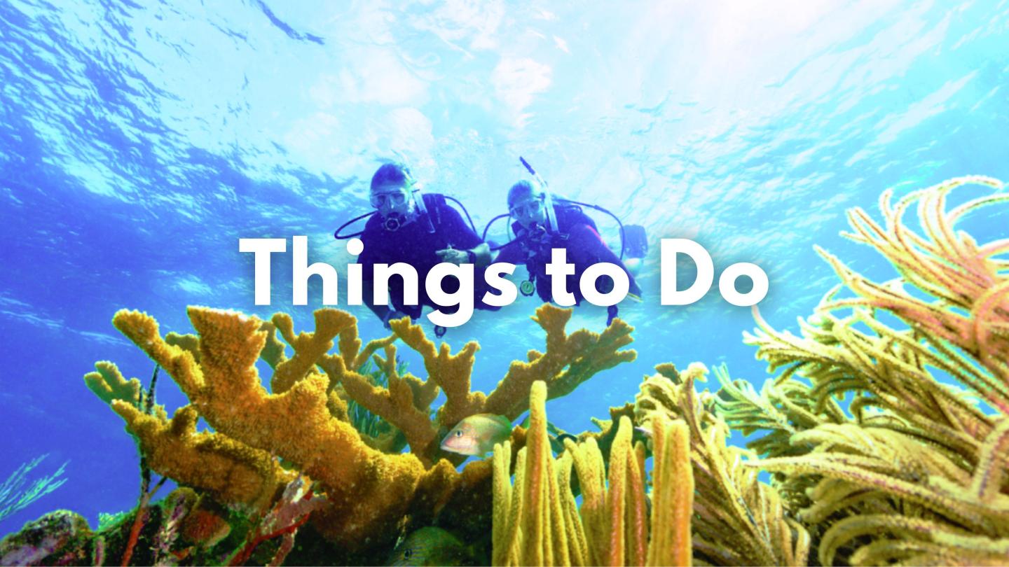 Colorful coral reef with two scuba divers in the background.