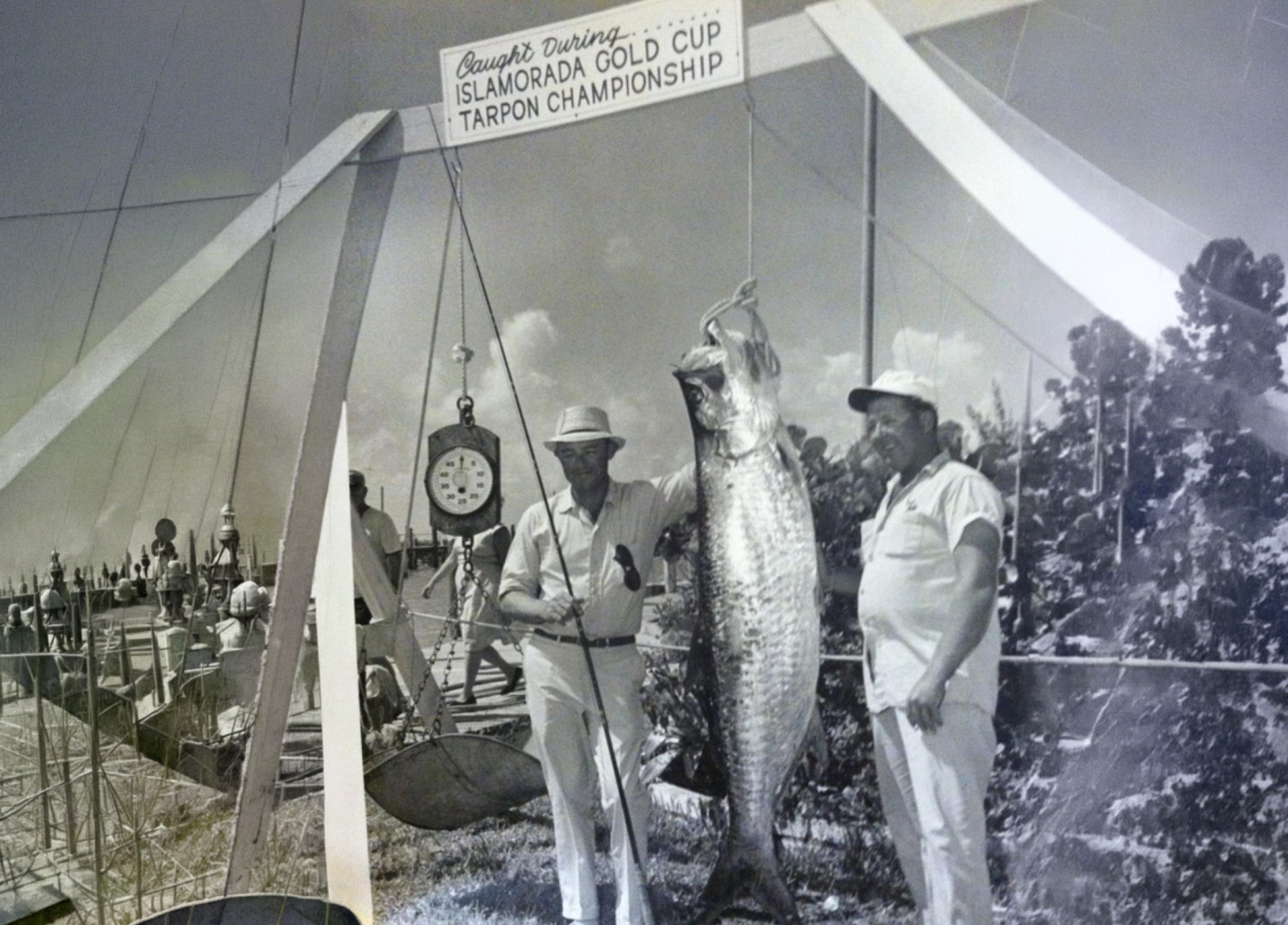 Black and white photo of two men posing with a large fish on a scale.