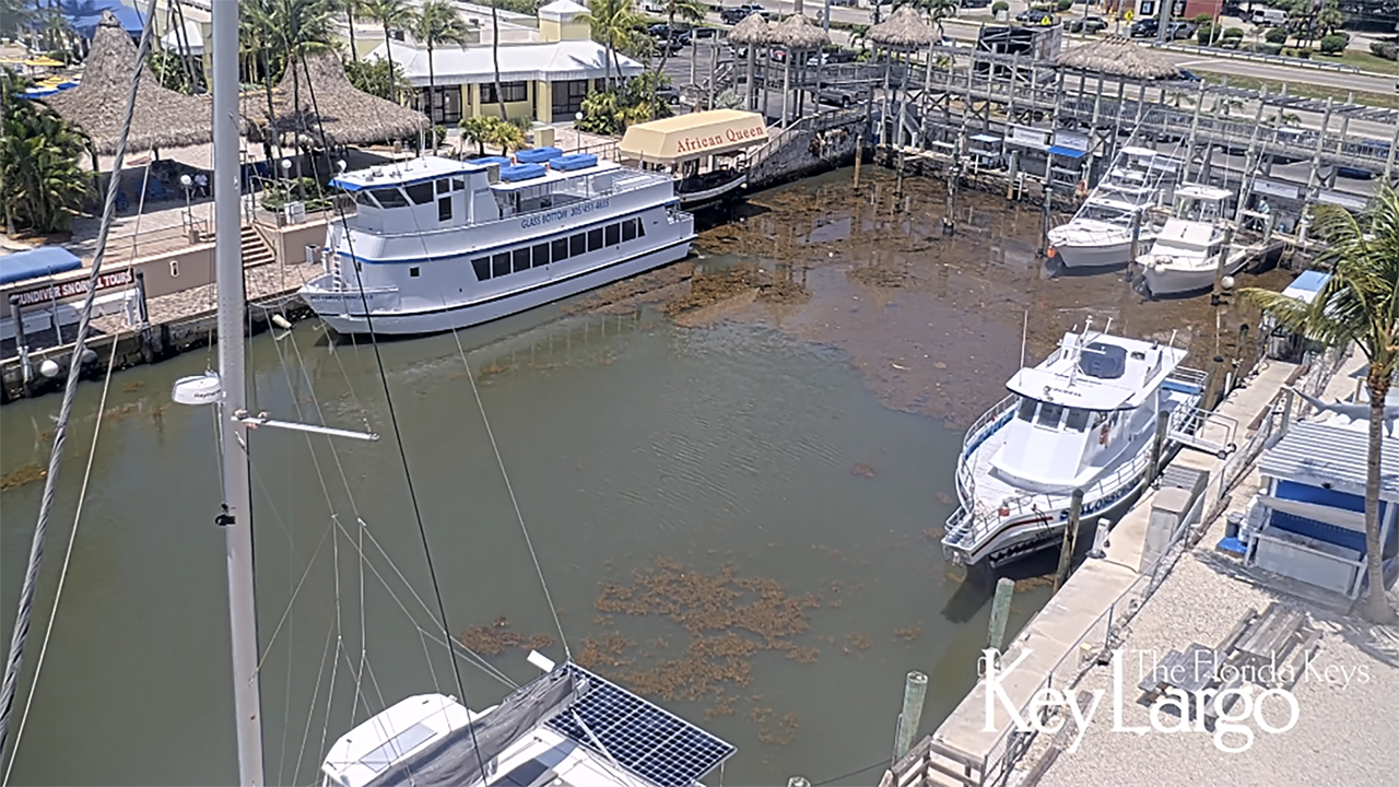 Marina with docked boats and clear, sunny skies.