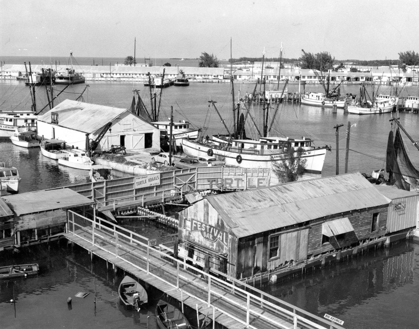 Fishing boats docked at a harbor, black-and-white photograph.