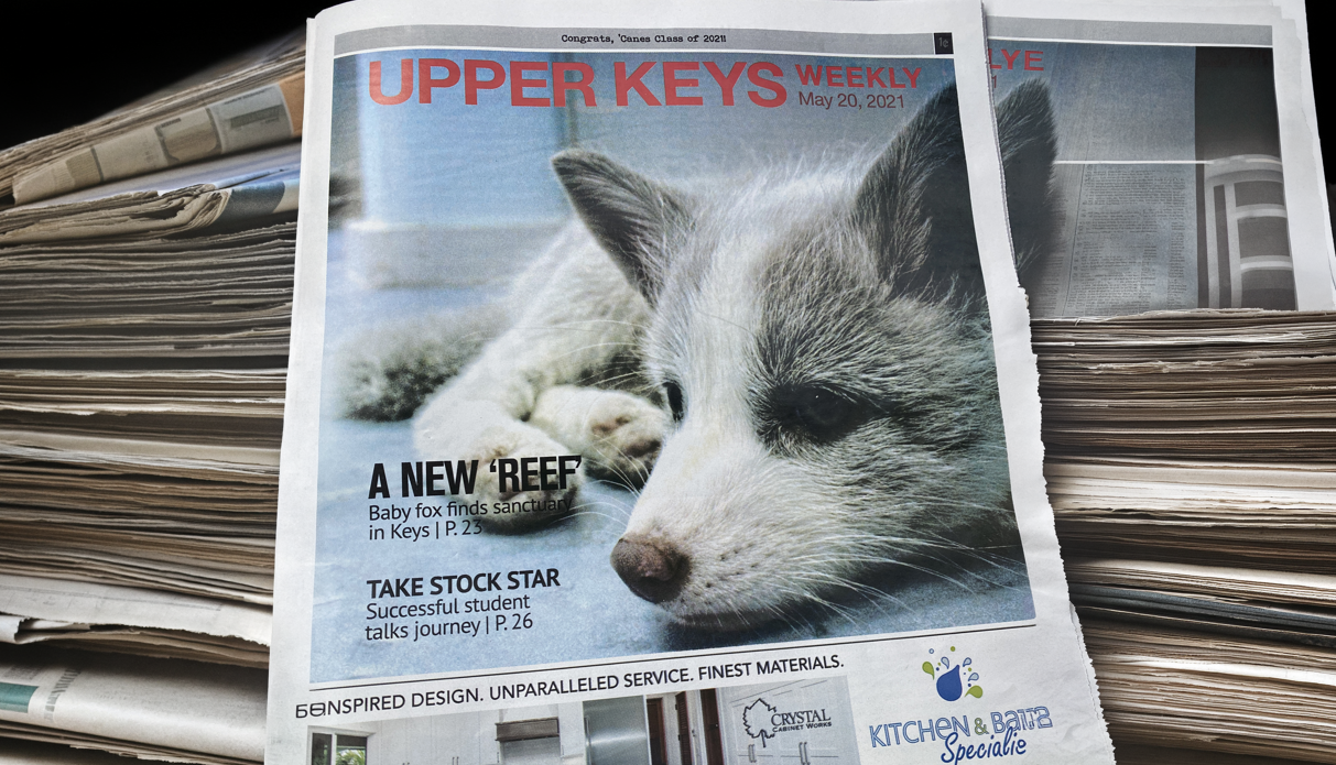 Stack of newspapers with a husky pup on the cover.