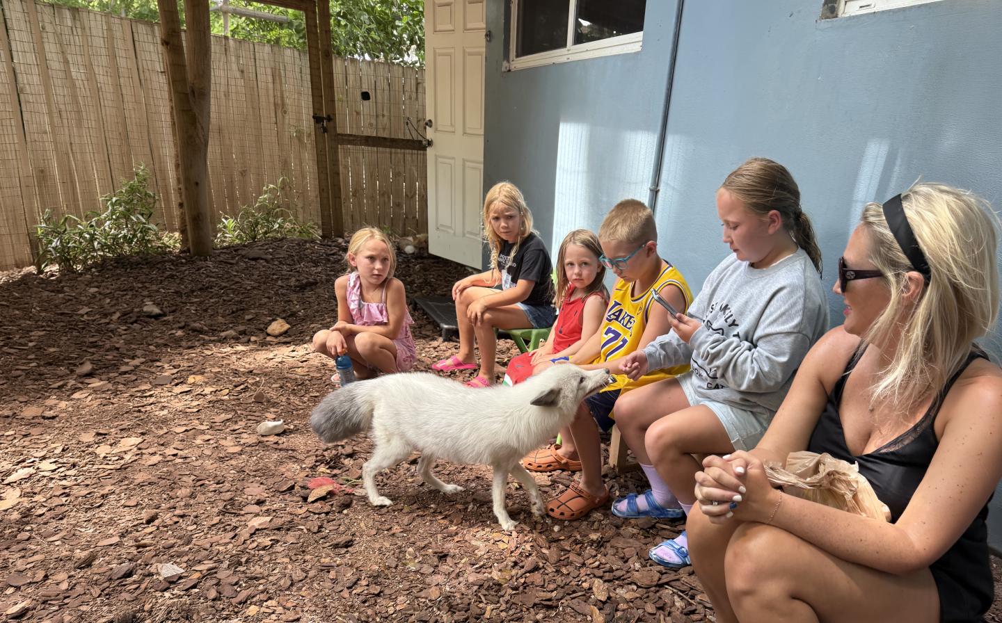 Children and an adult pet a white fox in a garden.