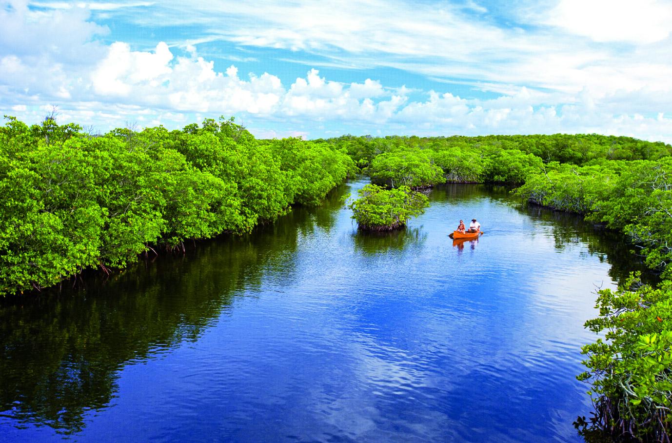 Kayaker on a blue river surrounded by lush green trees under a bright sky.