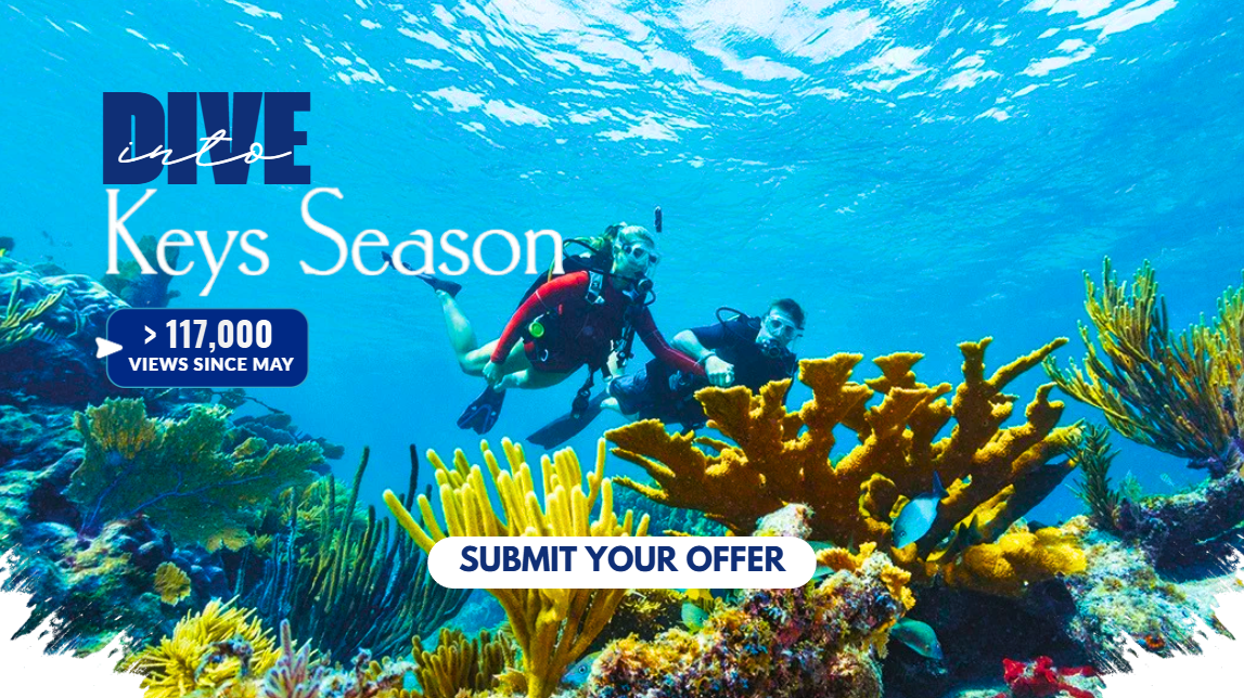 Scuba divers swimming near colorful coral reef.