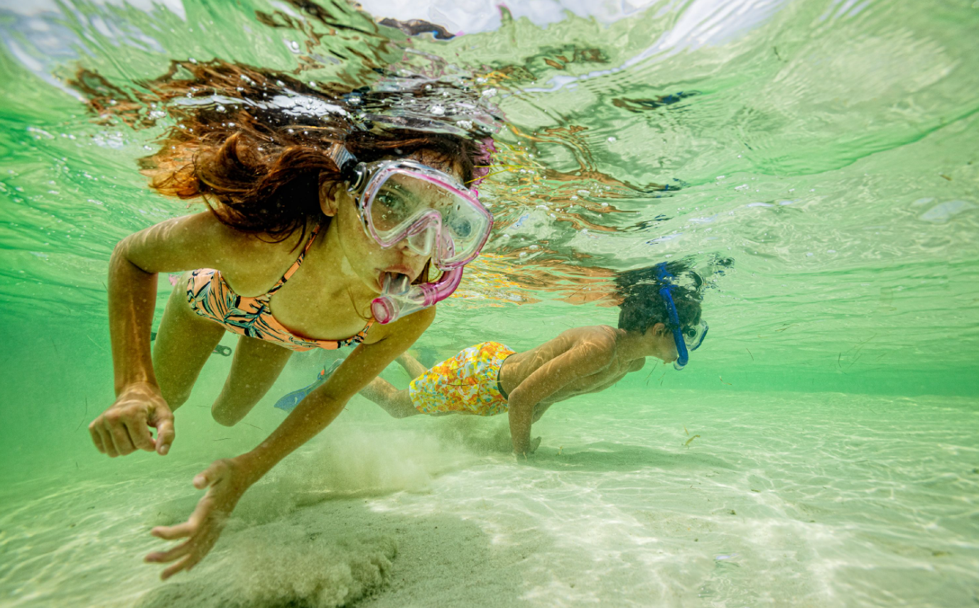 Two people snorkeling underwater in clear, green-tinted water.
