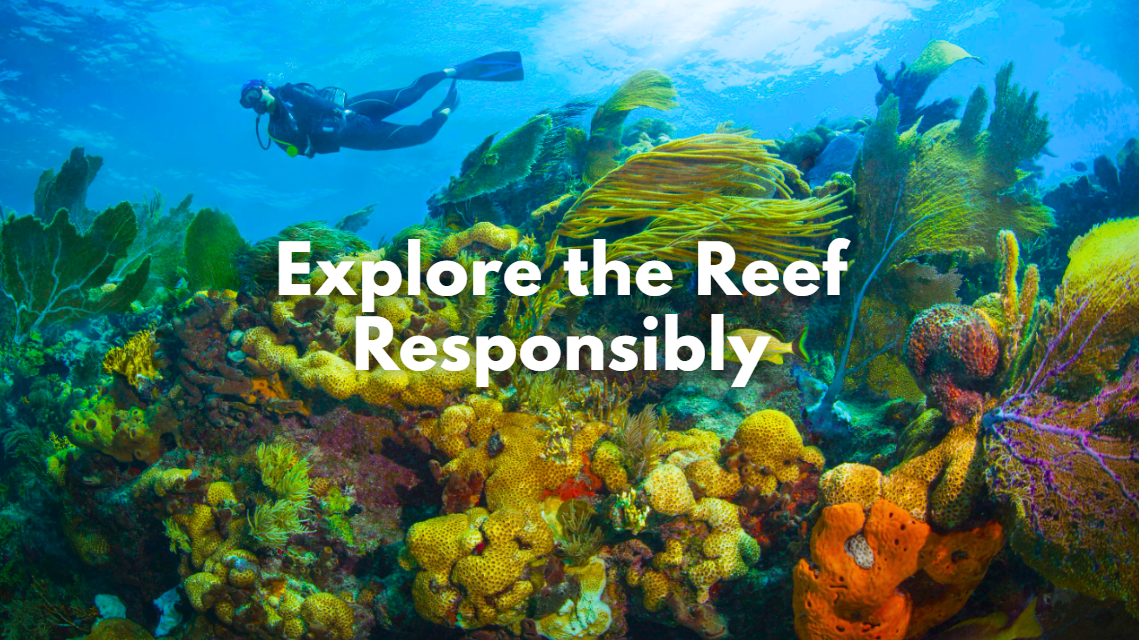 Diver swimming above colorful coral reef underwater.