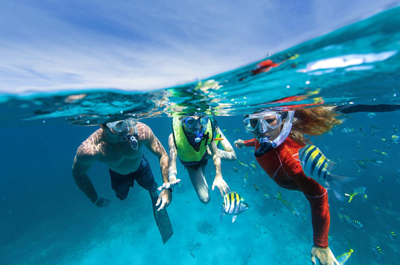 Three snorkelers swim underwater among colorful fish.