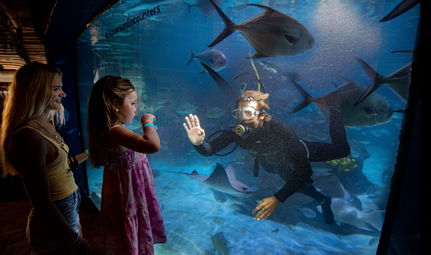 Diver waves to a girl through an aquarium, surrounded by fish.