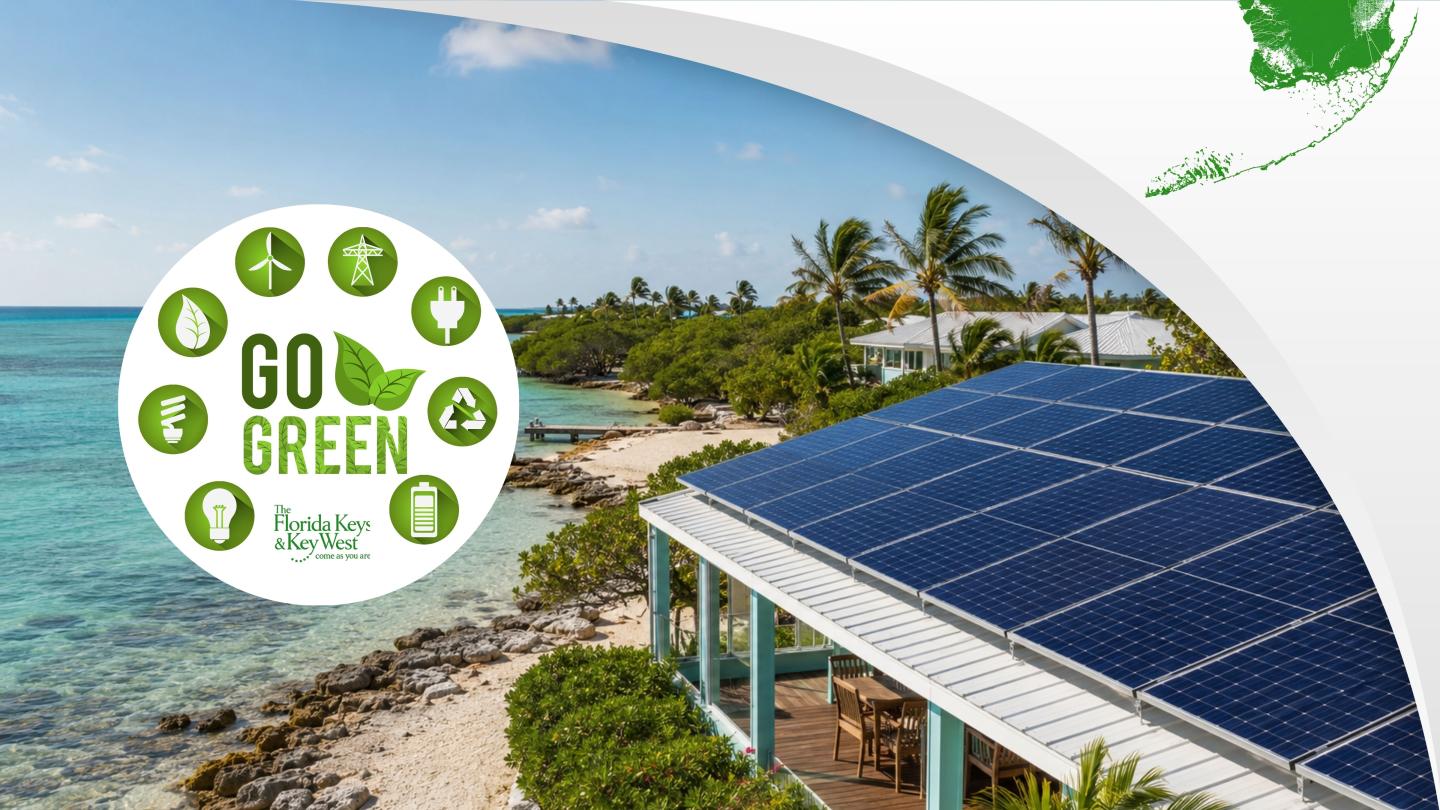 House with solar panels by a tropical beach, "Go Green" logo overlay.