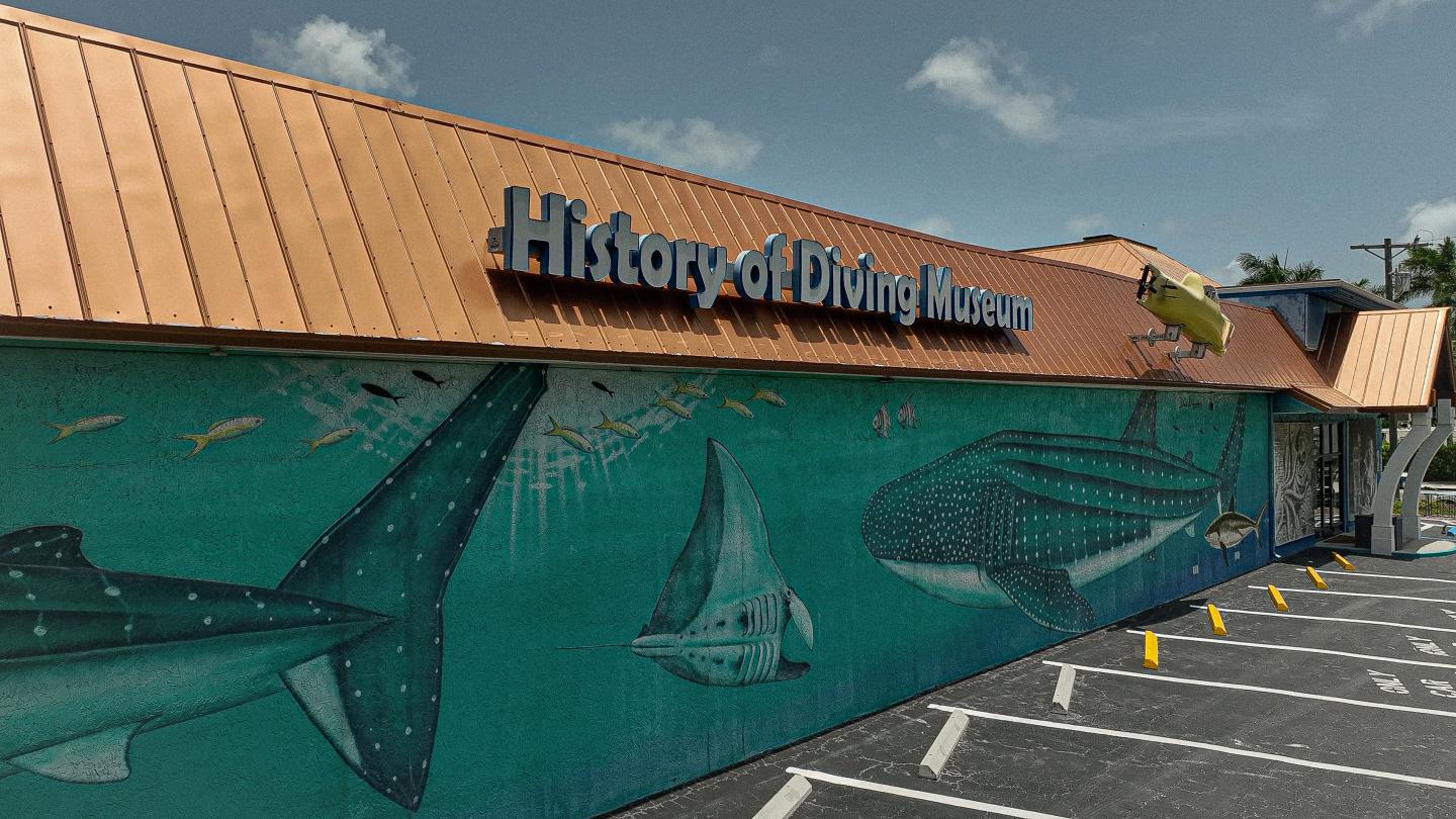 Building with marine-themed mural, featuring sharks and a whale, under a blue sky.