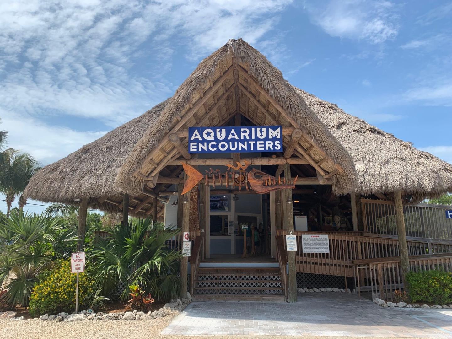 Thatched-roof aquarium entrance with a blue sky backdrop.