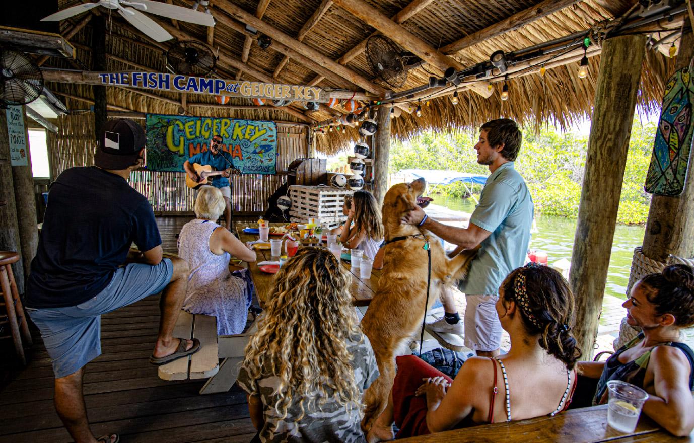 Group of people casually relaxing in a tiki hut with a dog.