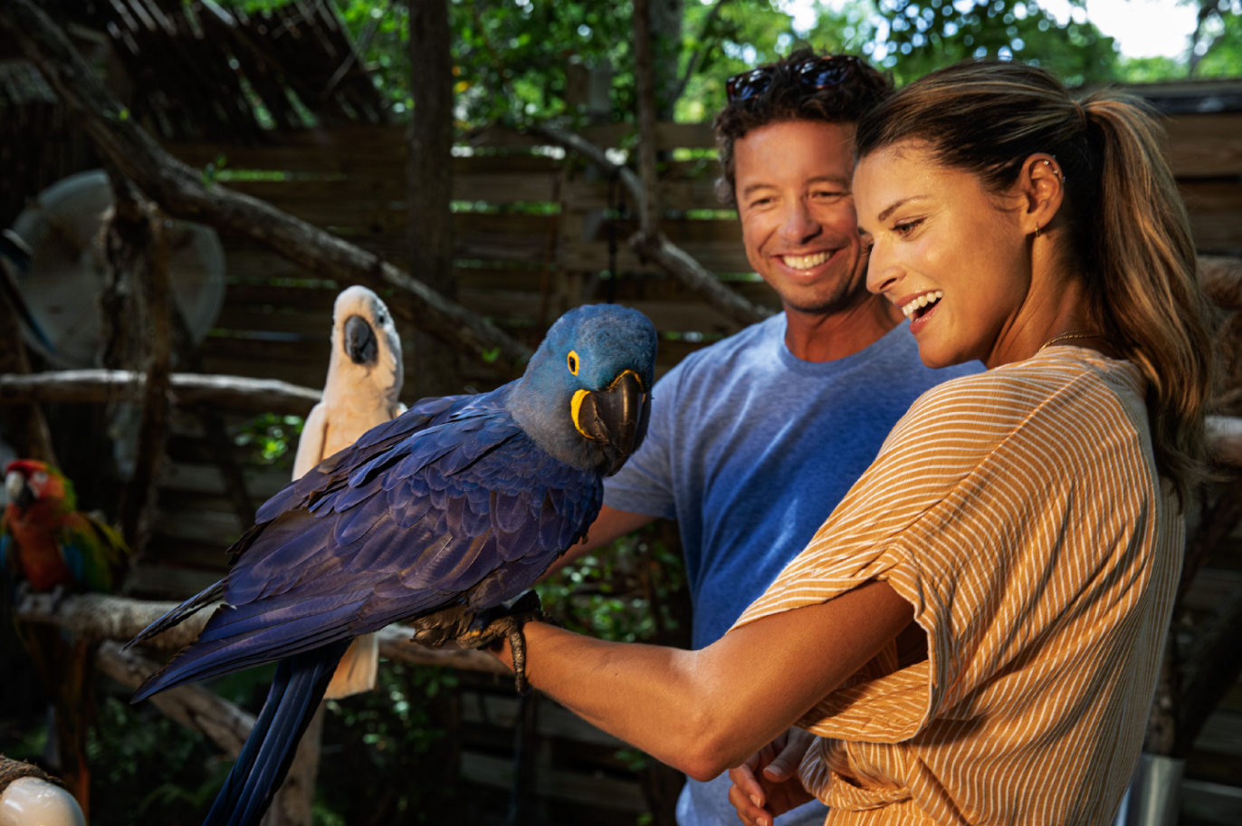 A man and woman smiling while holding a vibrant blue parrot.